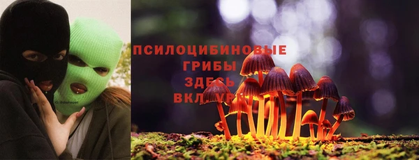 mdpv Балахна