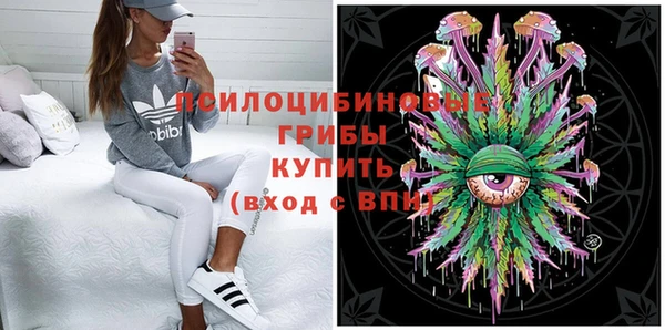крисы Баксан