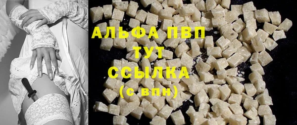крисы Баксан