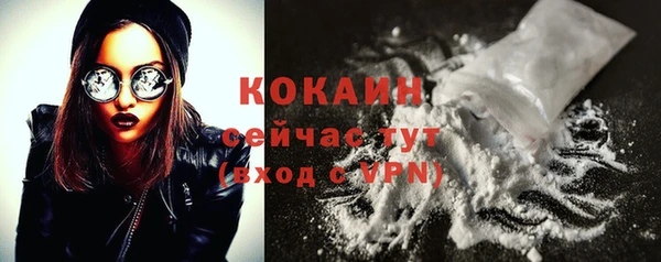 крисы Баксан