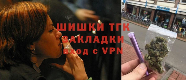крисы Баксан