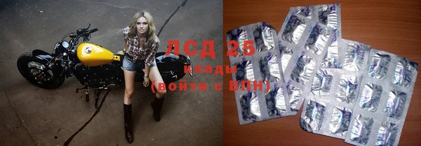 крисы Баксан