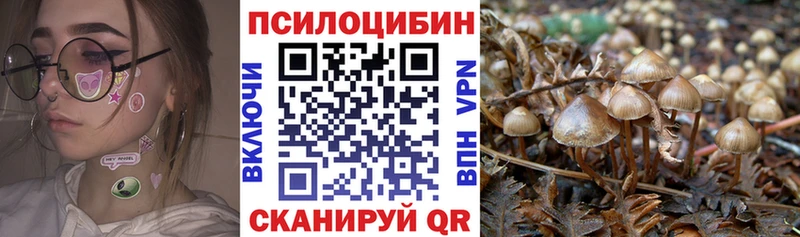 что такое   Белорецк  Галлюциногенные грибы мицелий 